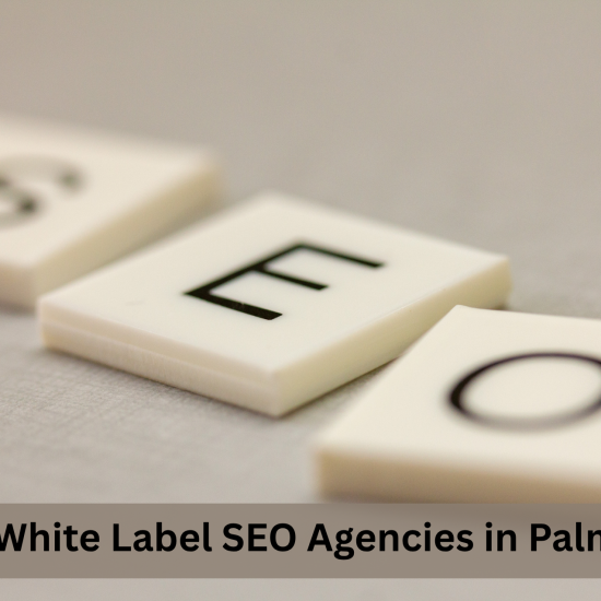 Top 10 White Label SEO Agencies in Palmerston