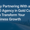 SEO Agency in Gold Coast